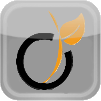Viadeo